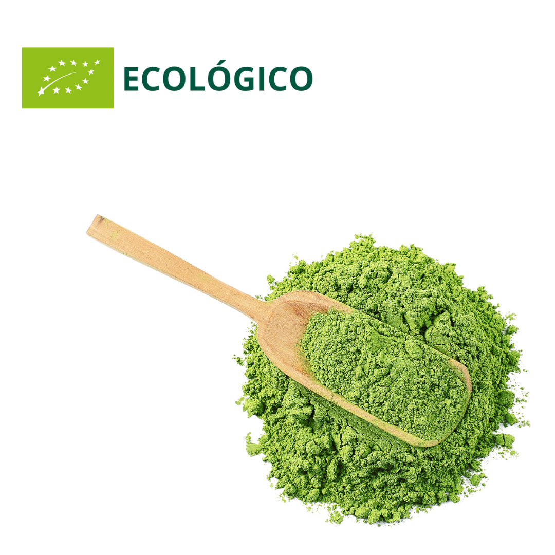 Matcha Japonés Premium Ecológico 30gr | 90gr-Teytal