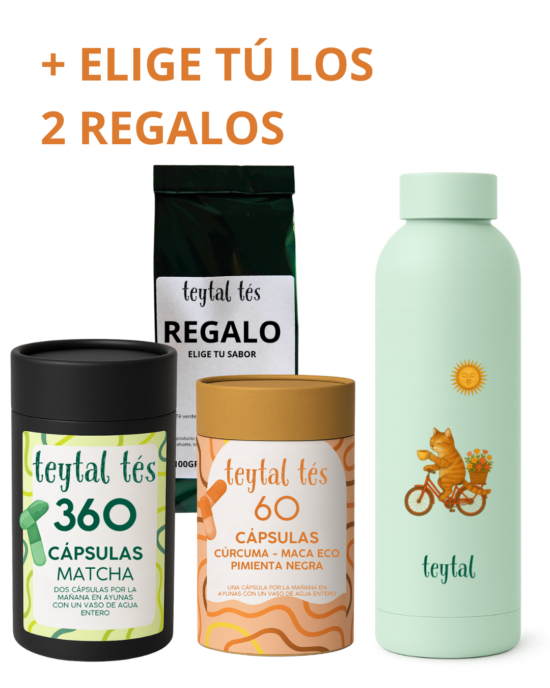 6 Meses Cápsulas Matcha + Plan Dieta