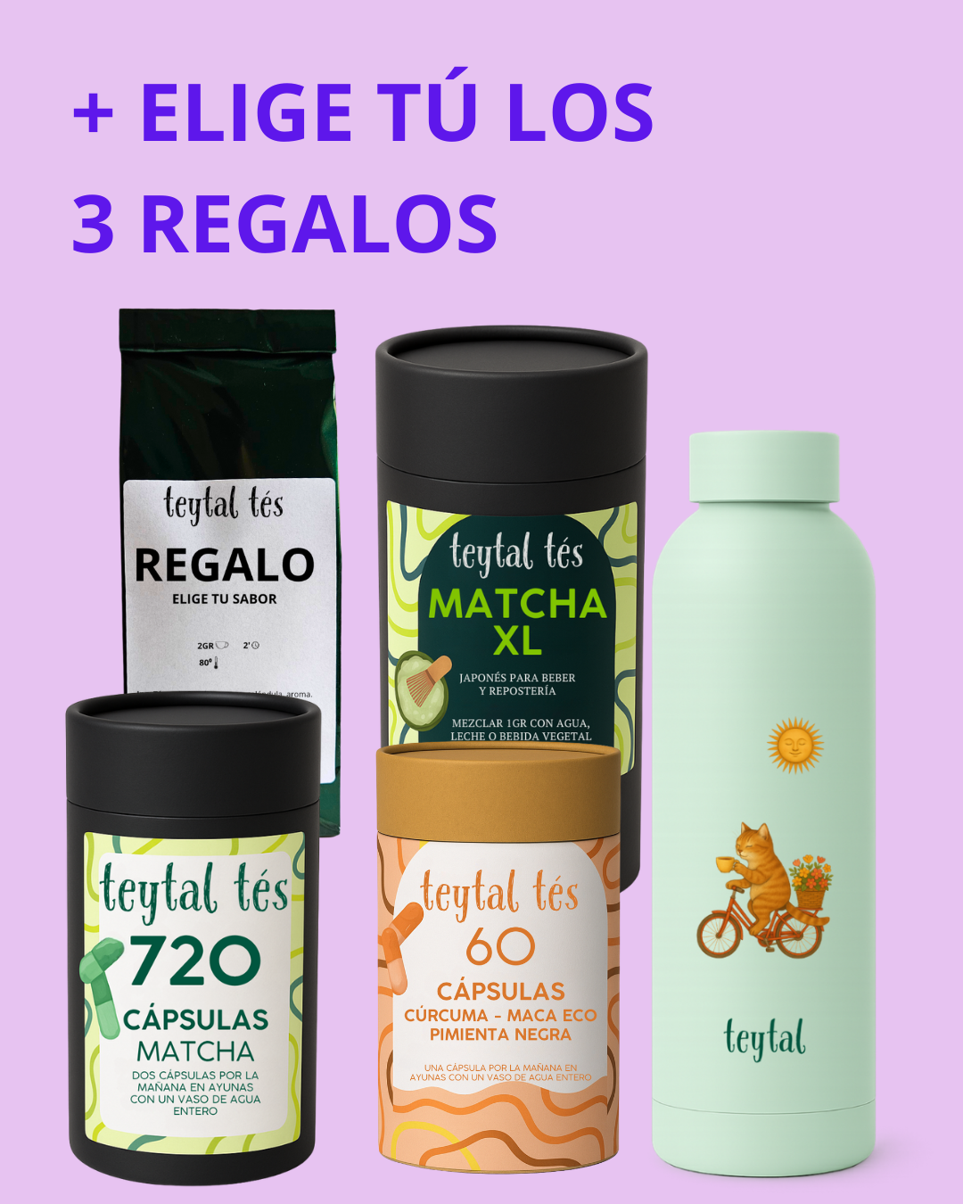 12 Meses Cápsulas Matcha + Plan Dieta