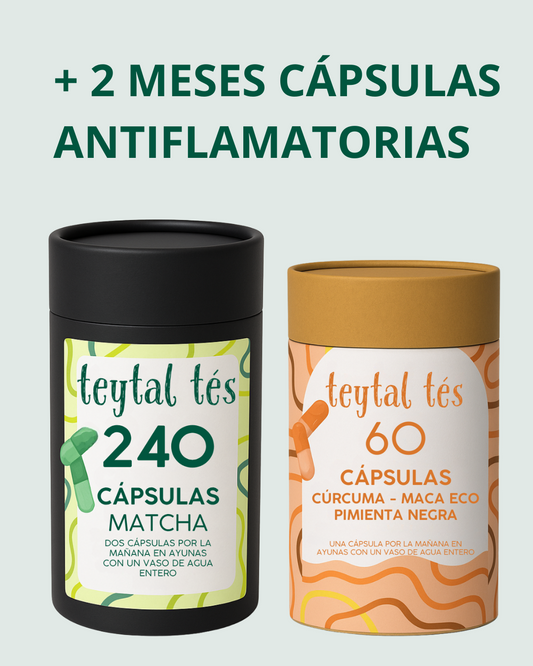 4 Meses Cápsulas Matcha + Plan Dieta