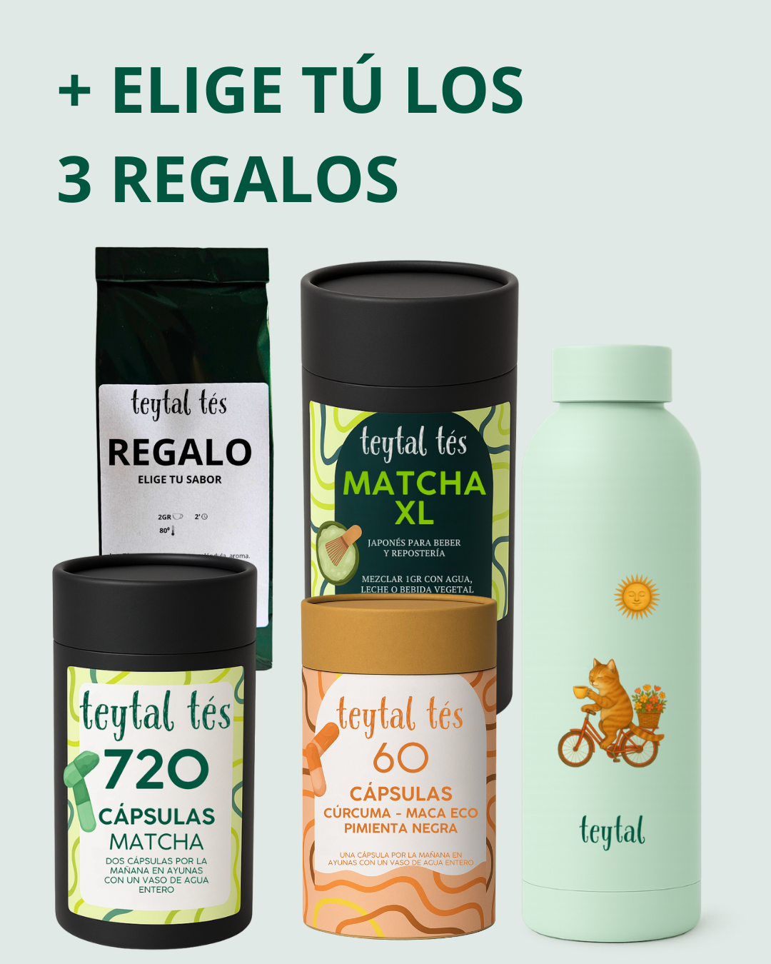 12 Meses Cápsulas Matcha + Plan Dieta